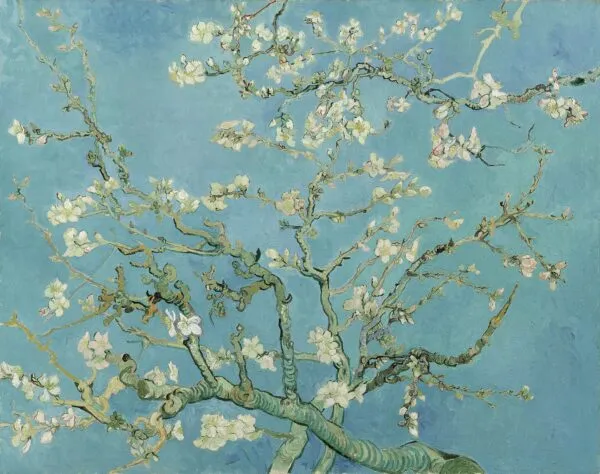 Almond Blossom (1890) by Vincent van Gogh — original painting reproduced as a hand-painted oil on canvas