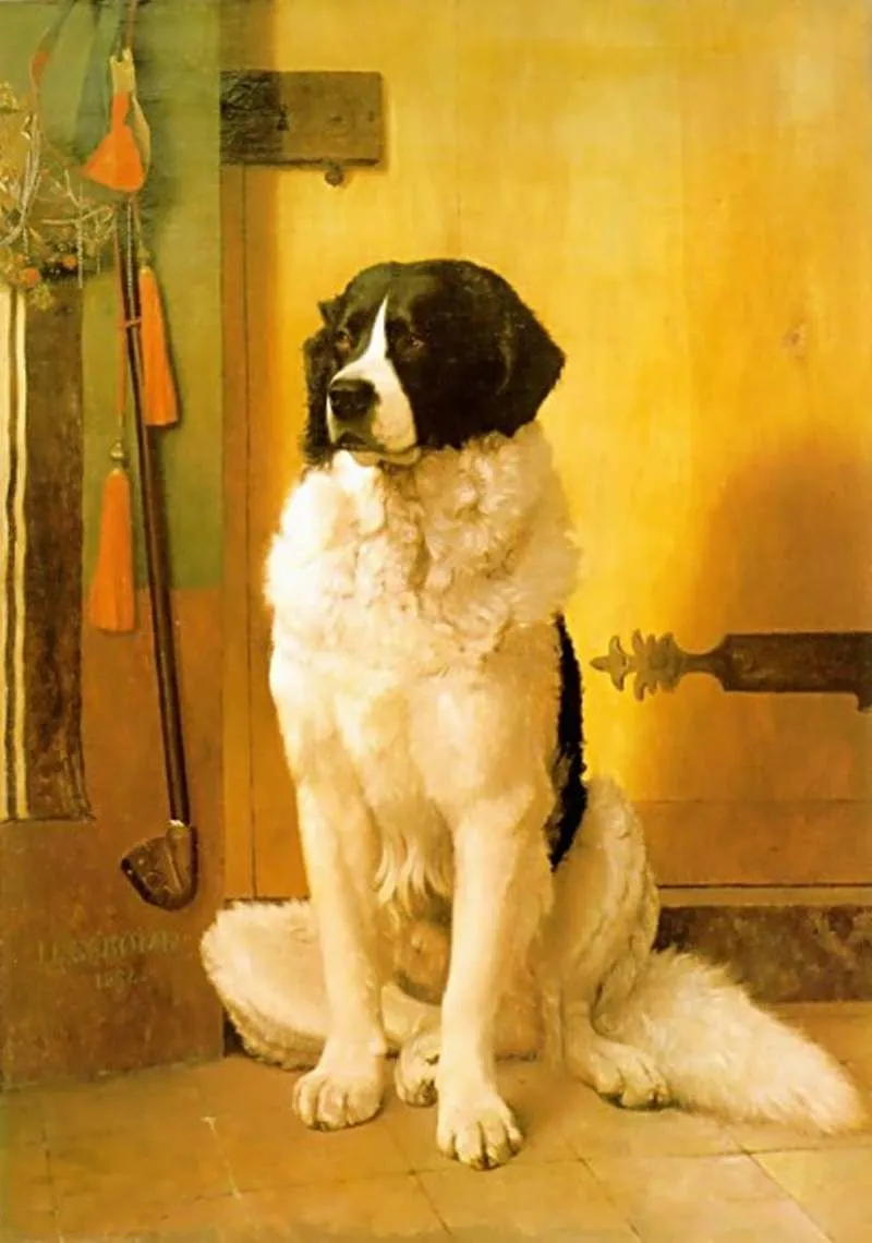 Étude de chien de Terre-Neuve (1852) by Jean-Léon Gérôme — original painting reproduced as a hand-painted oil on canvas