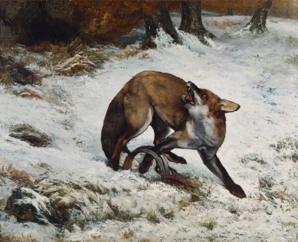 Fox Caught in a Trap (1860) by Gustave Courbet — original painting reproduced as a hand-painted oil on canvas