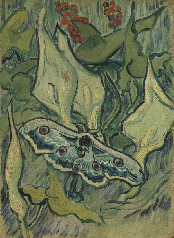 Giant Peacock Moth (1889) by Vincent van Gogh — original painting reproduced as a hand-painted oil on canvas