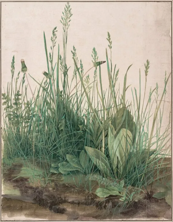 Great Piece of Turf (1503) by Albrecht Dürer — original watercolour reproduced as a hand-painted oil on canvas