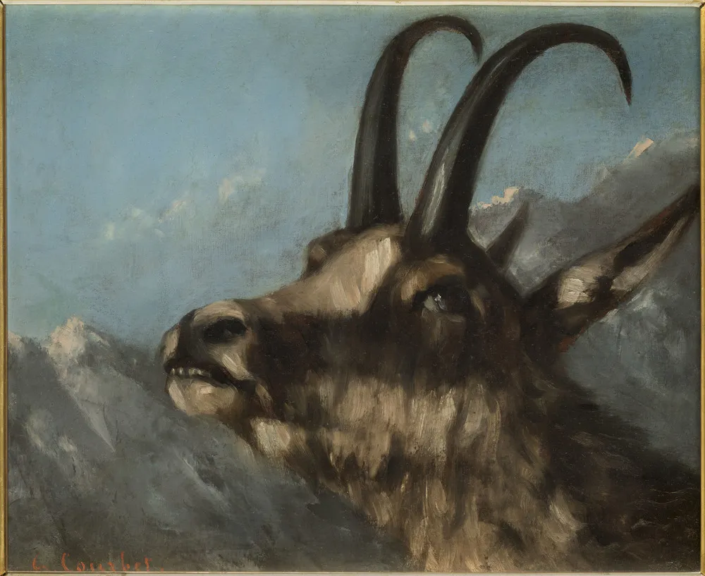 Head of a goat — Gustave Courbet