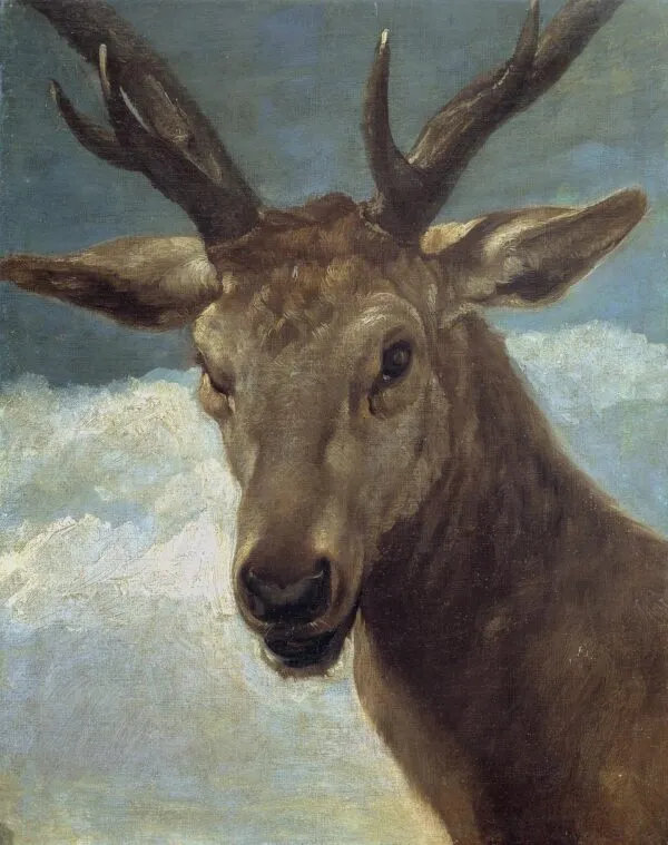 Head of a Stag (1627) by Diego Velázquez — original painting reproduced as a hand-painted oil on canvas