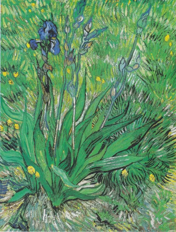 Iris (1889) by Vincent van Gogh — original painting reproduced as a hand-painted oil on canvas