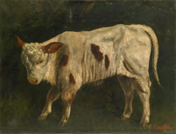 Le Veau blanc (1873) by Gustave Courbet — original painting reproduced as a hand-painted oil on canvas