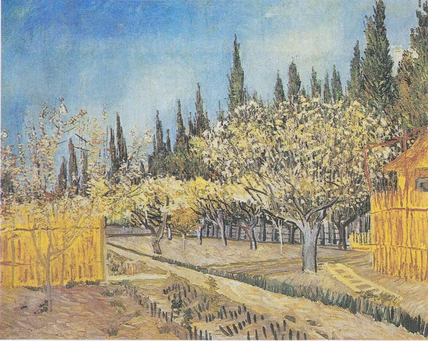 Orchard in Blossom, Bordered by Cypresses — Vincent van Gogh