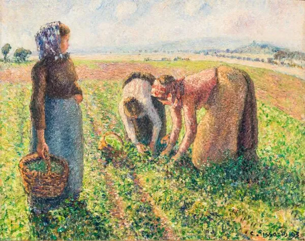 Pea Harvest, Eragny (1893) by Camille Pissarro — original painting reproduced as a hand-painted oil on canvas