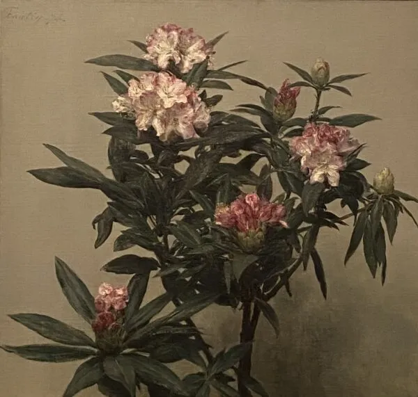 Rhododendron Branch in Bloom (1874) by Henri Fantin-Latour — original painting reproduced as a hand-painted oil on canvas