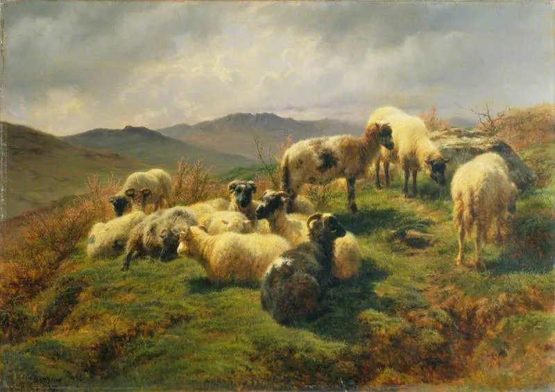 Sheep in the Highlands — Rosa Bonheur