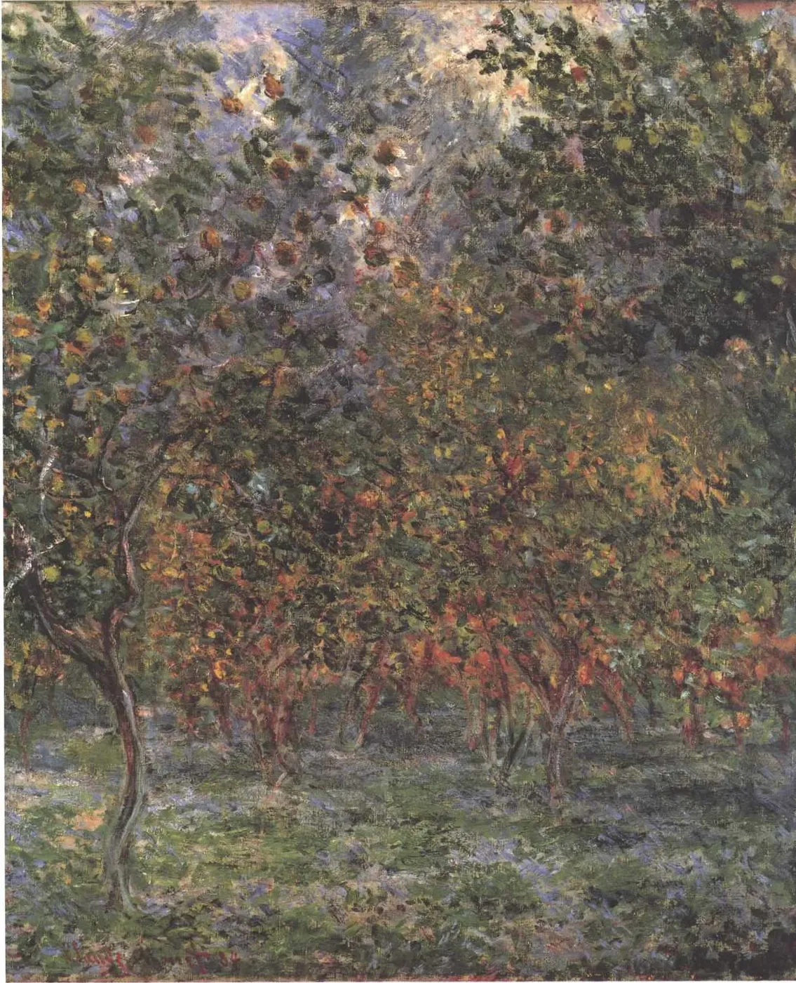 Under the lemon trees — Claude Monet