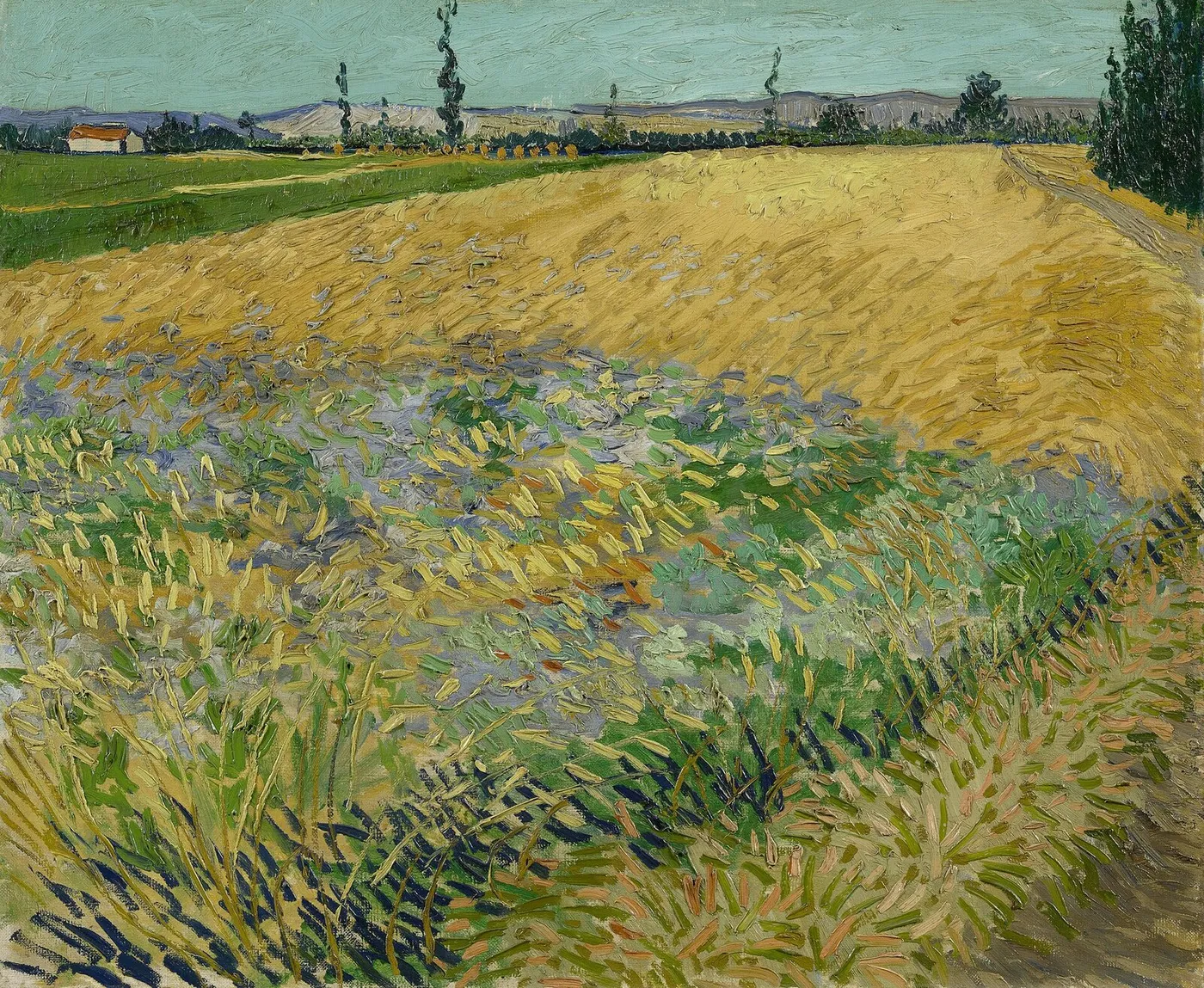 Wheatfield (1888) by Vincent van Gogh — original painting reproduced as a hand-painted oil on canvas