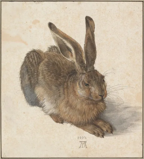 Young Hare (1502) by Albrecht Dürer — original watercolour reproduced as a hand-painted oil on canvas