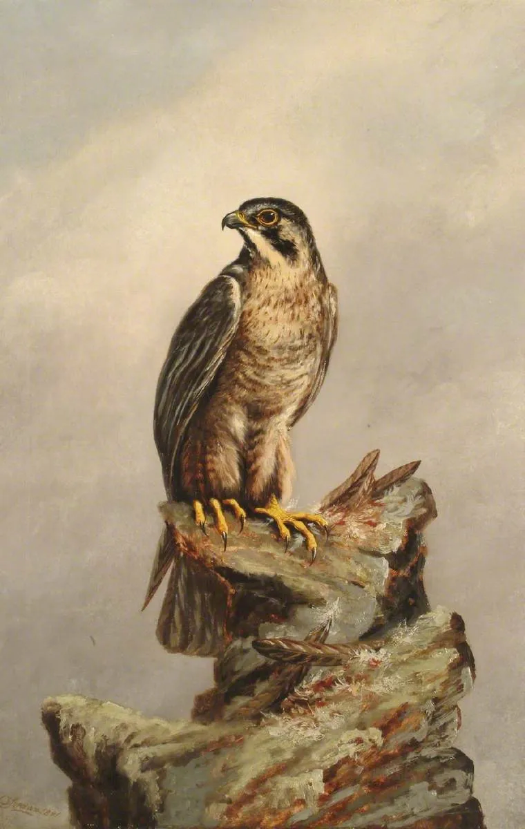 Birds of Prey, Kestrel (1881) by Denham Jordan — original painting reproduced as a hand-painted oil on canvas