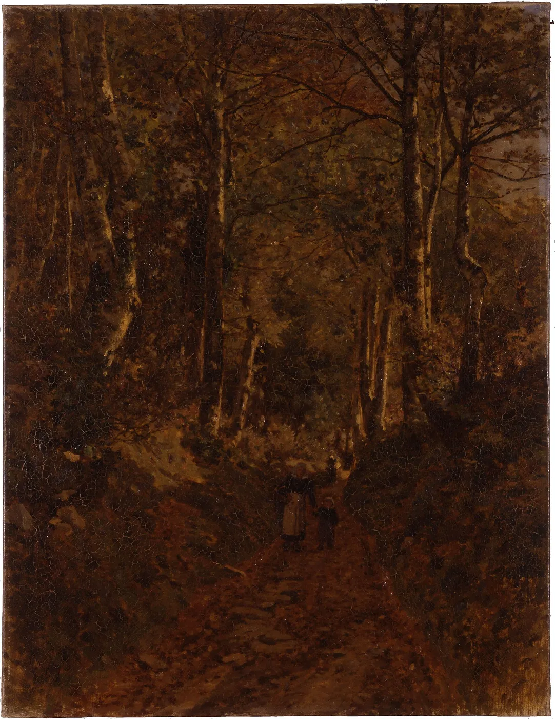 Chemin sous bois à Bannalec — Camille Bernier