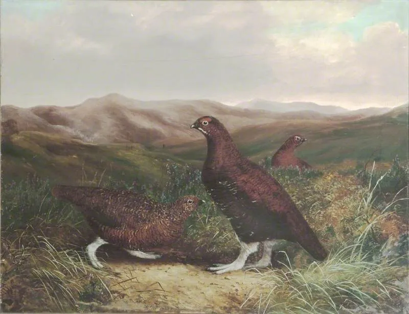 Cumberland Moor and Grouse (1878) by Benjamin Hold — original painting reproduced as a hand-painted oil on canvas