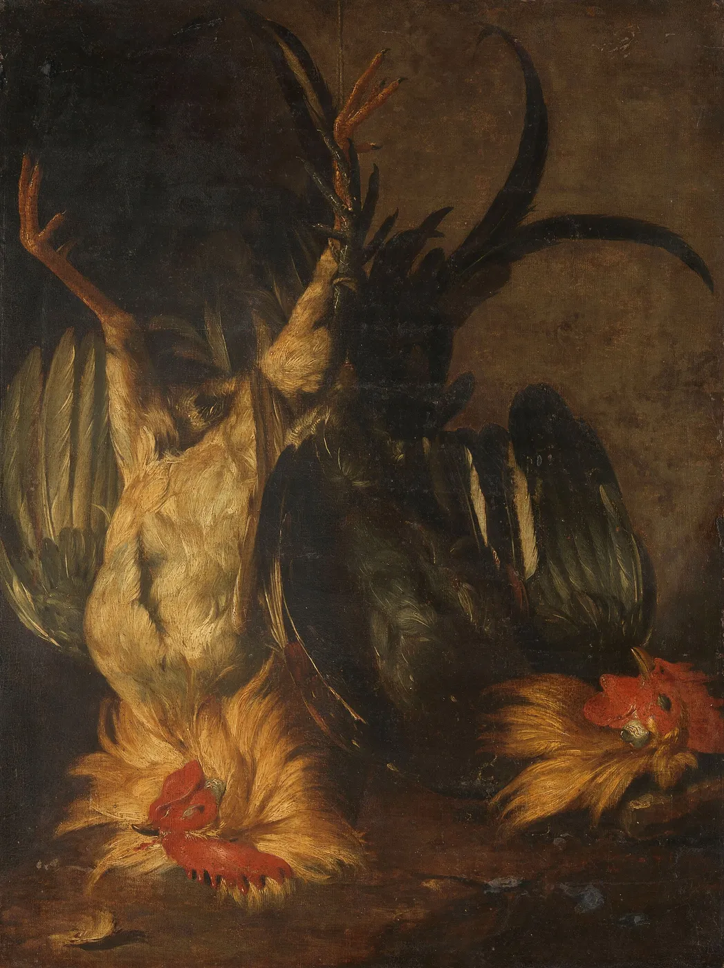 Dead roosters — Christoffel Puytlinck