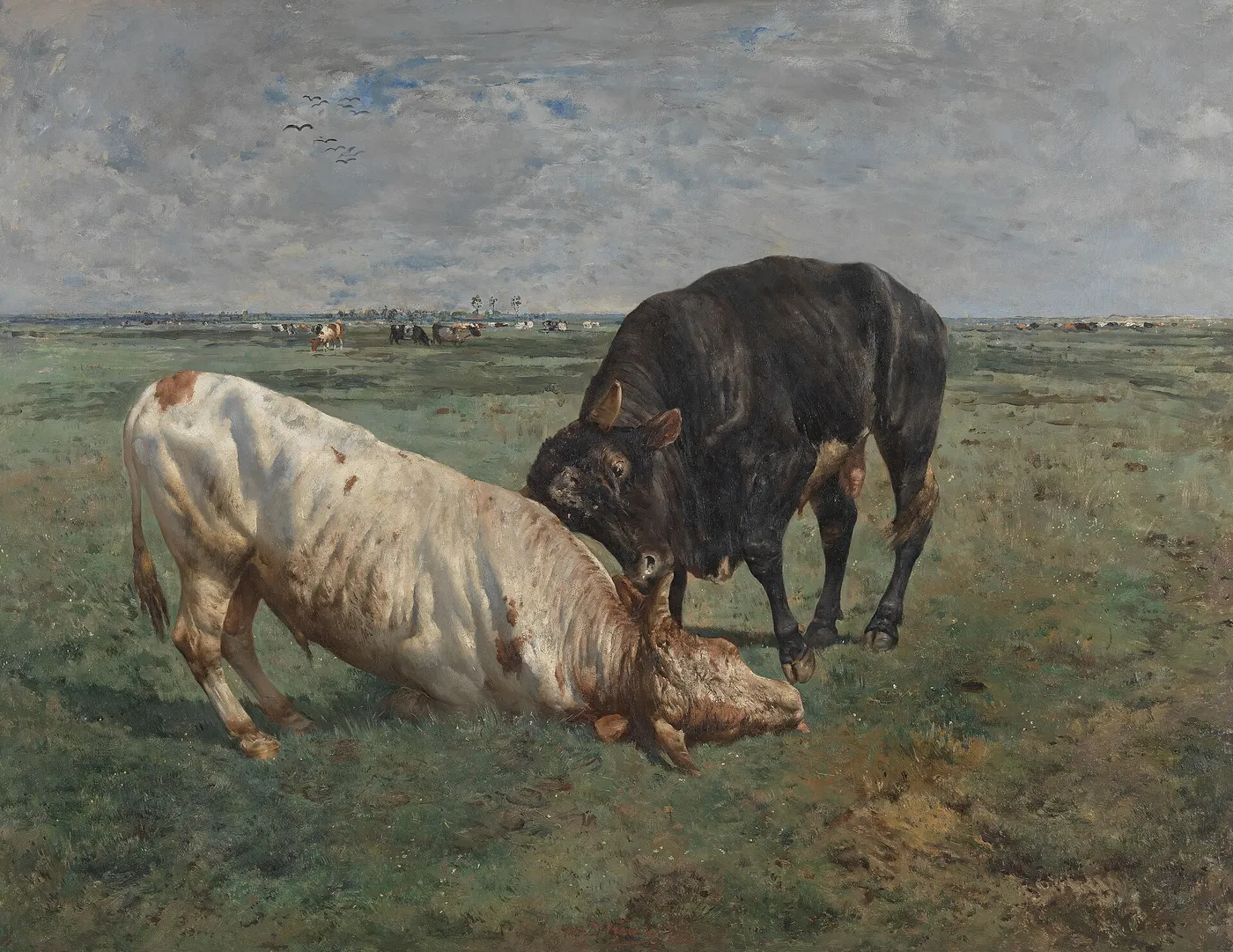 Combat entre deux jeunes taureaux — Alfred Verwee