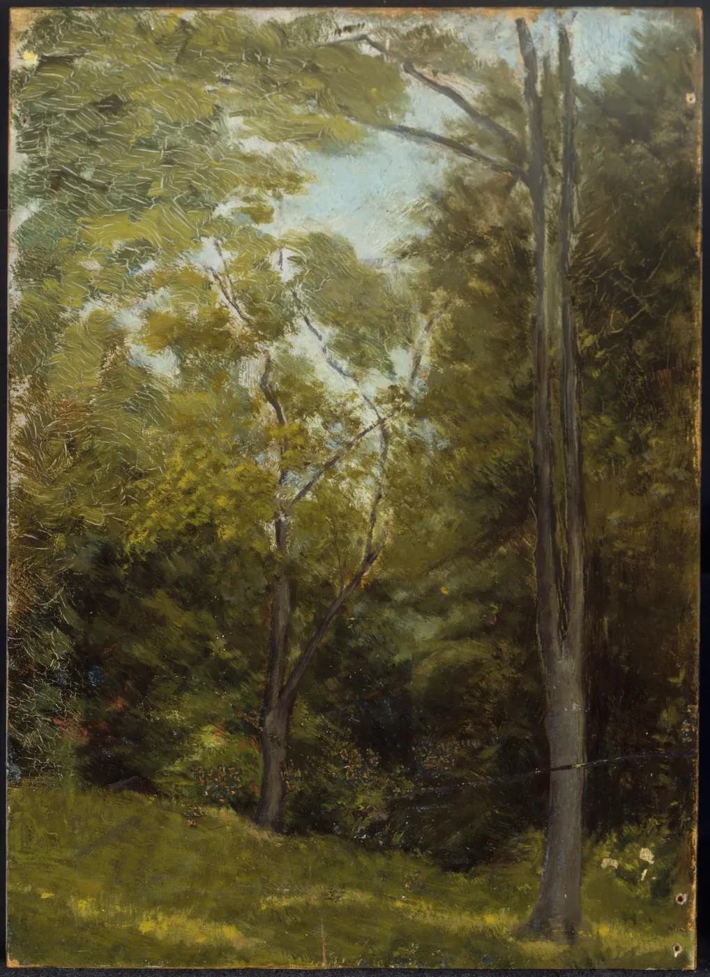 Landscape — Edward Stieglitz