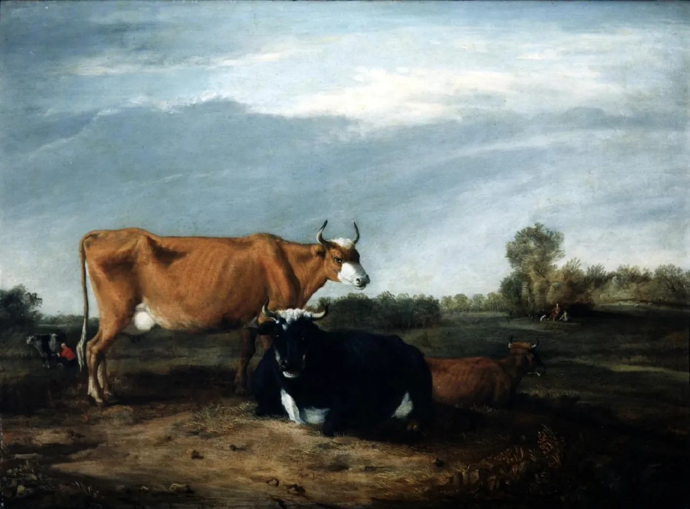 Landscape with cattle — Albert Klomp