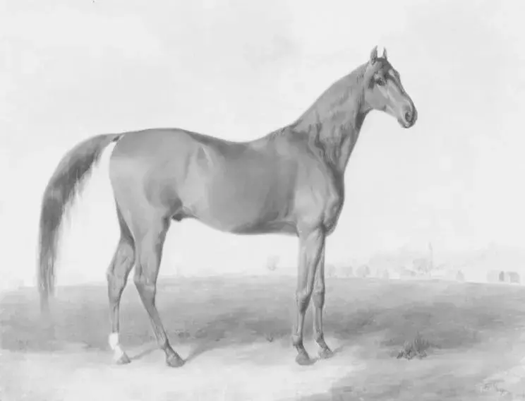 Race Horse "Sir Henry" (1834) by Edward Troye — original painting reproduced as a hand-painted oil on canvas