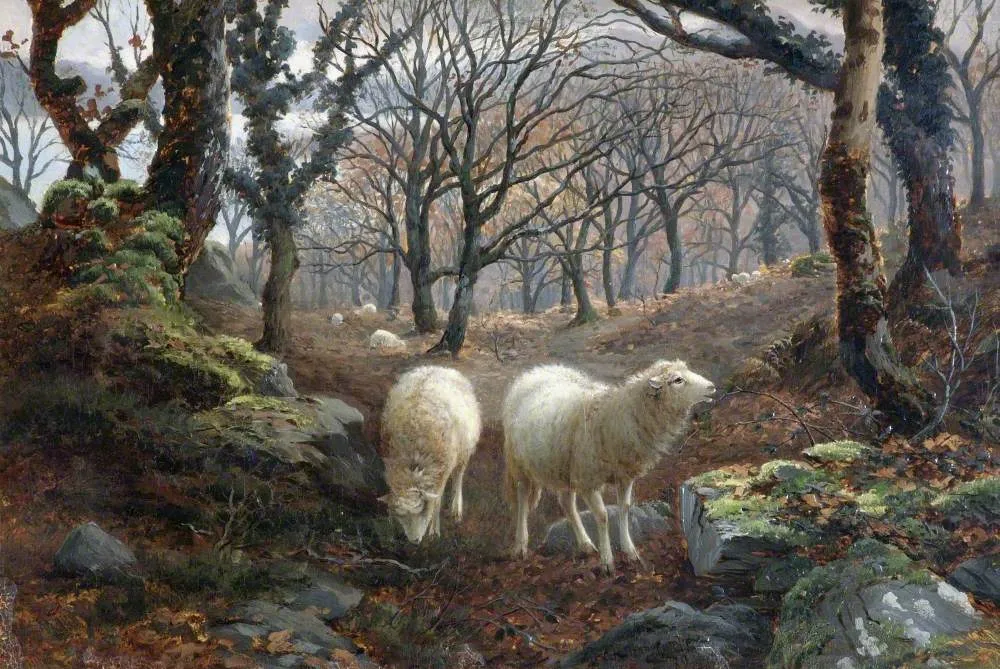 Sheep on a Wooded Hillside — Charles Henry Branscombe