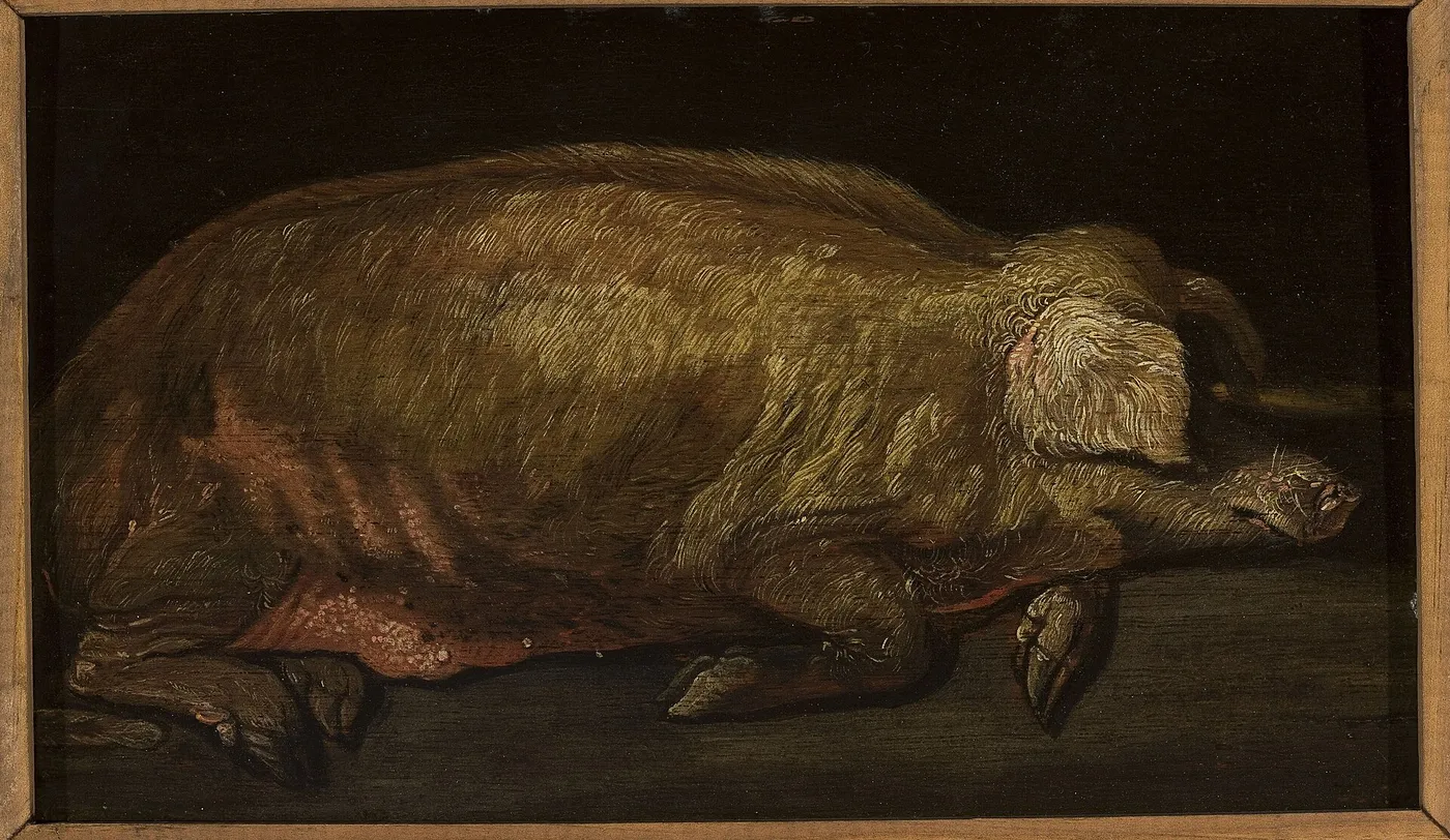 Sleeping pig. (1700) by Adriaen Verdoel — original painting reproduced as a hand-painted oil on canvas