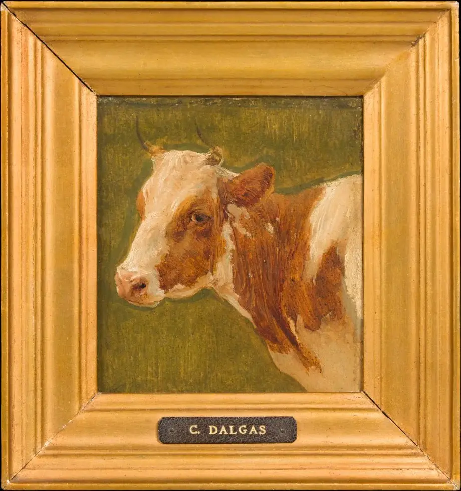 The Head of a Red Brushed Cow — Carlo Dalgas