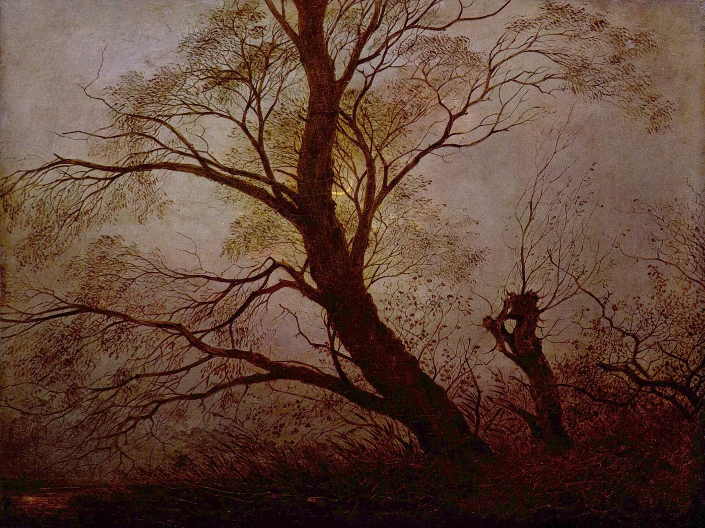 Trees in the moonlight — Carl Julius von Leypold