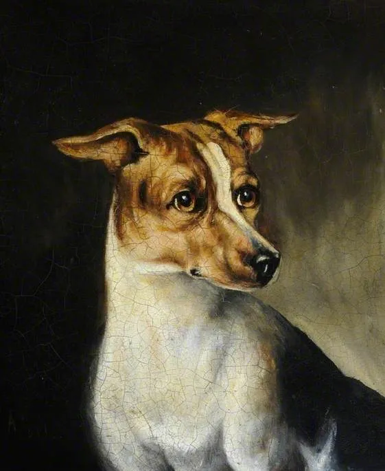White Dog with Brown Markings — Aline Thellusson