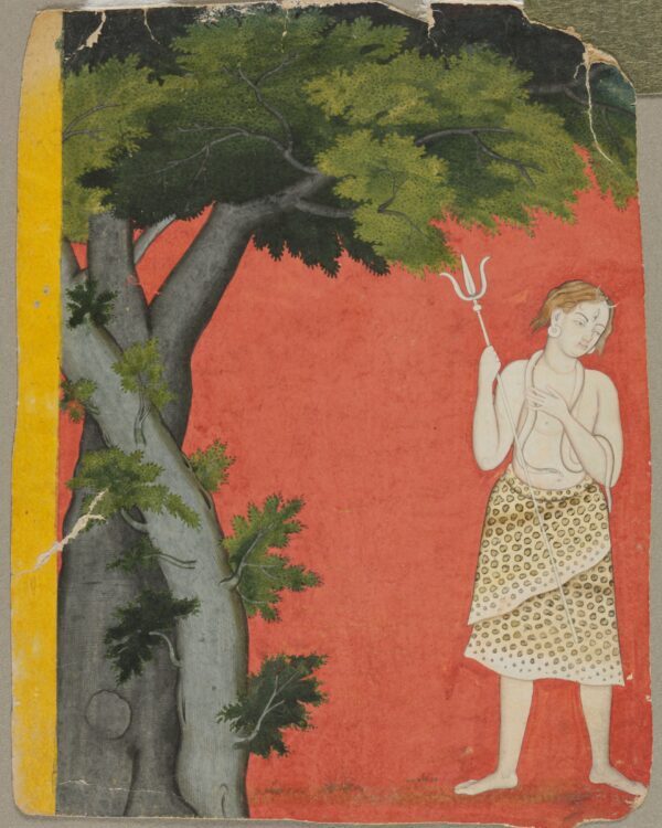Shiva under trees — Maker not recorded — Northern India, Pahari kingdoms