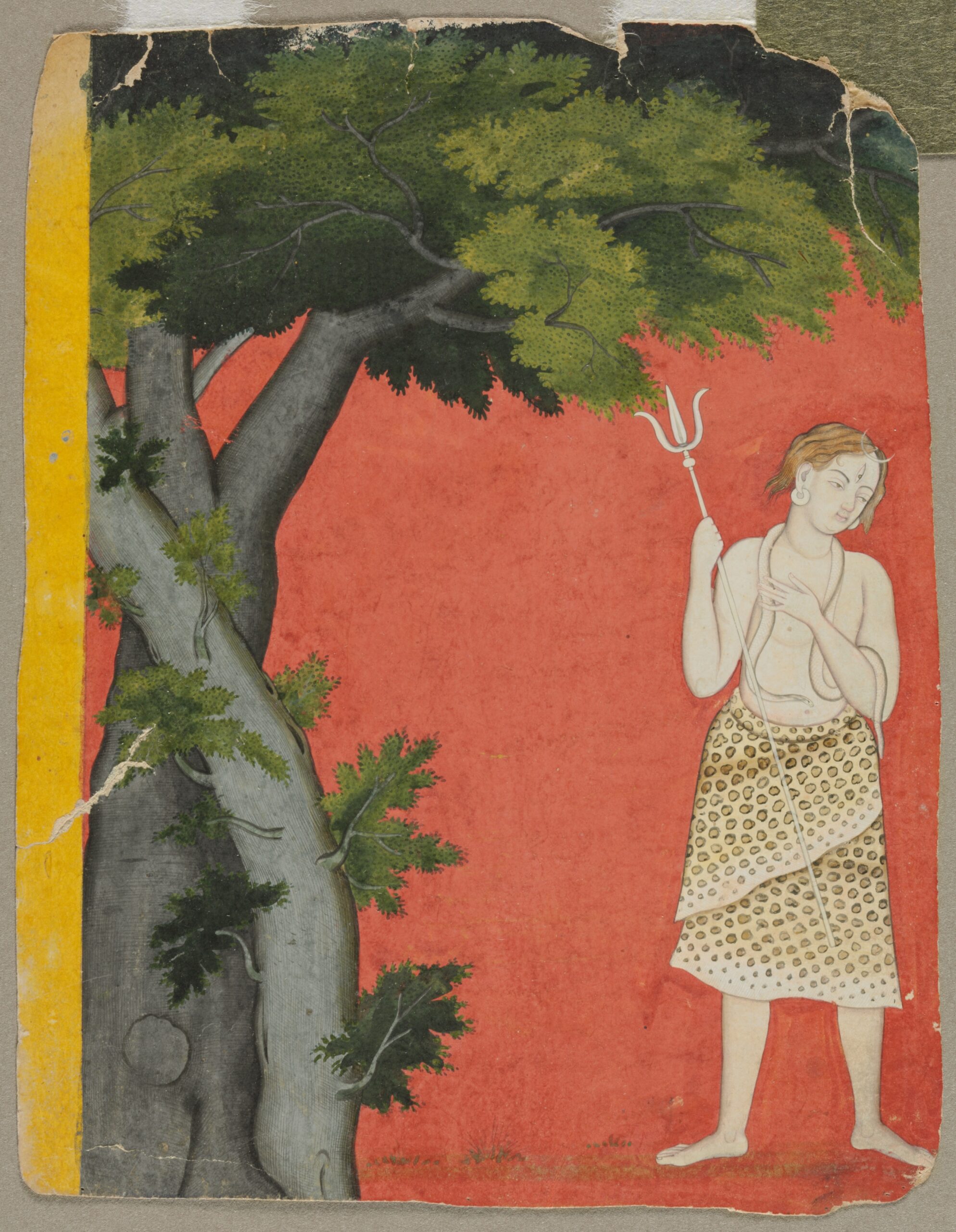 Shiva under trees — Maker not recorded — Northern India, Pahari kingdoms