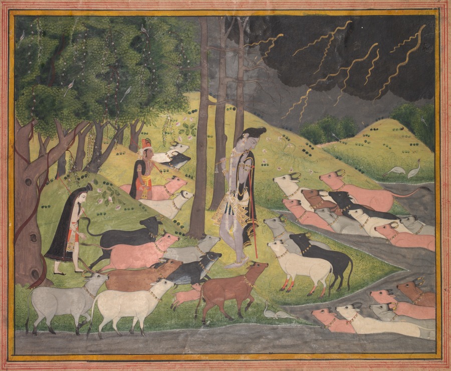 Krishna appelant les vaches
